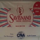 Savignano Wine Festival (01)